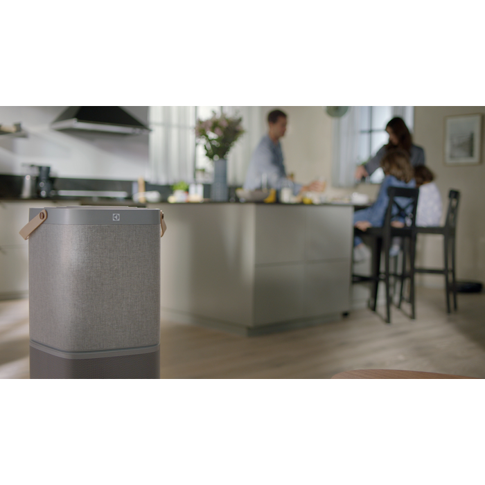 Electrolux - Air Purifier - EFDBRZ4