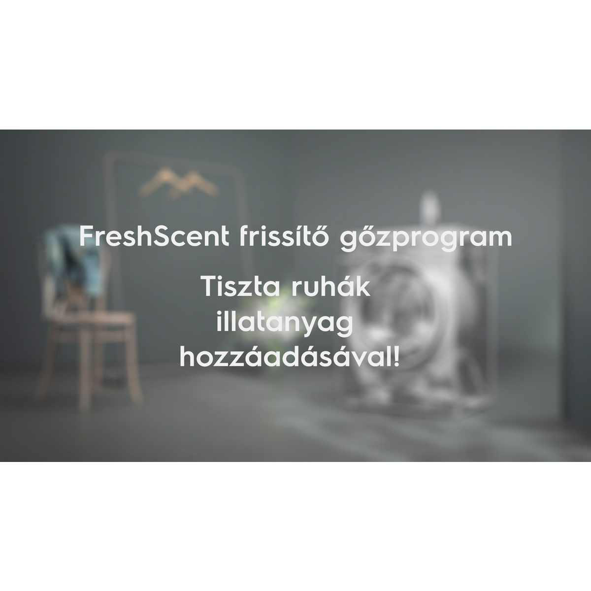 Electrolux - Steam Fragrance - E6WMFR020