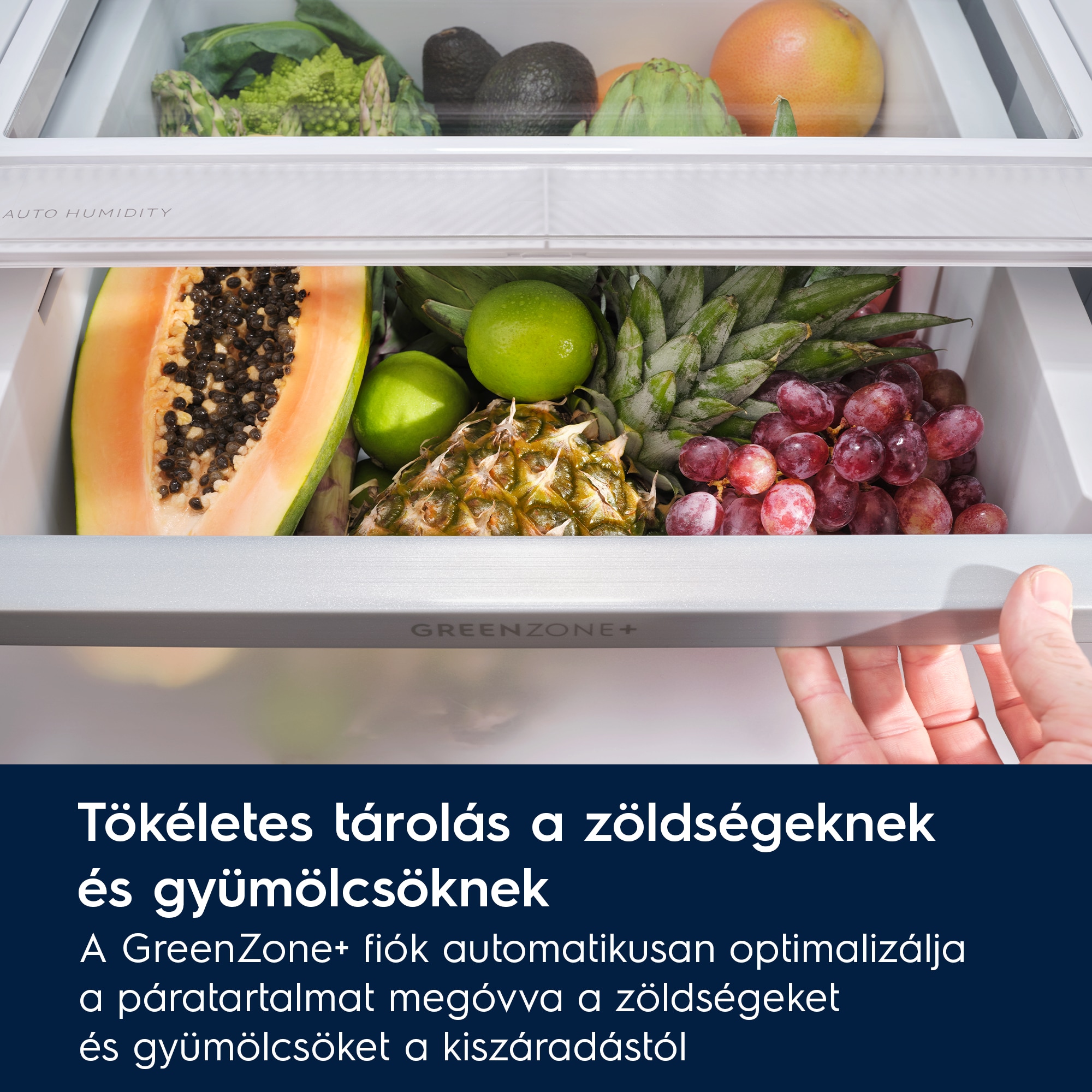 Electrolux - Szabadonálló kombinált hűtő-fagyasztó - LNT8MC36X